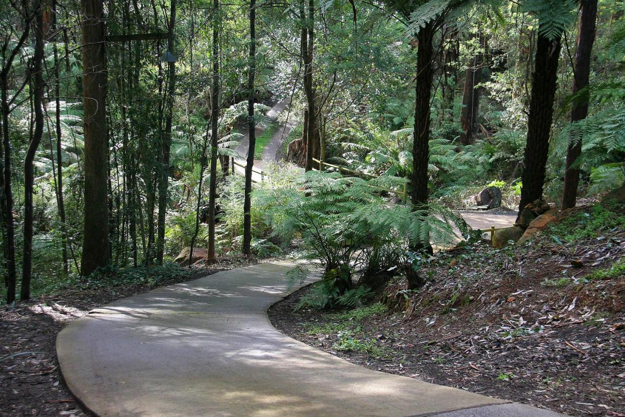 The Fernglen Forest Retreat Mount Dandenong Buitenkant foto