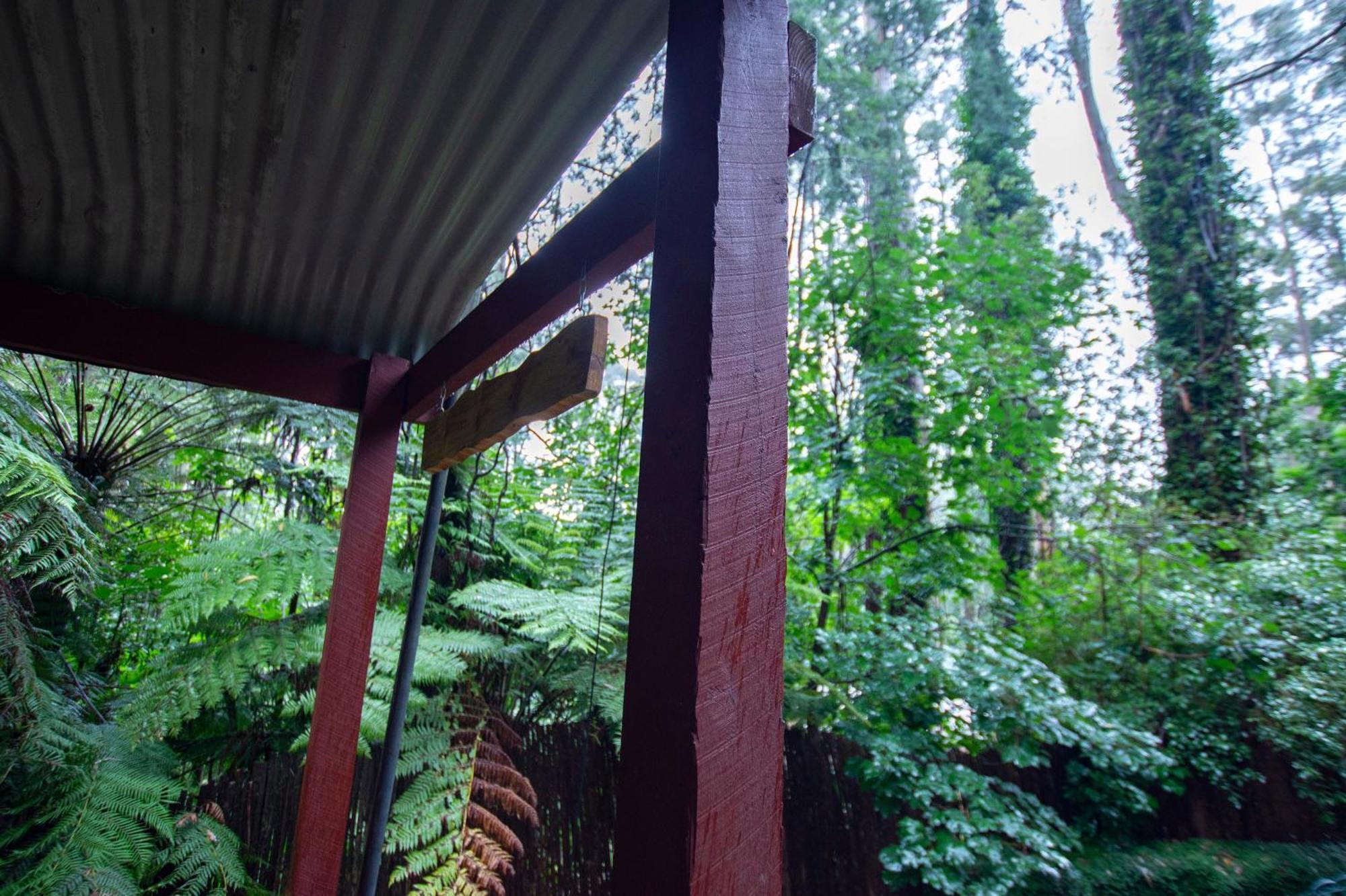 The Fernglen Forest Retreat Mount Dandenong Buitenkant foto