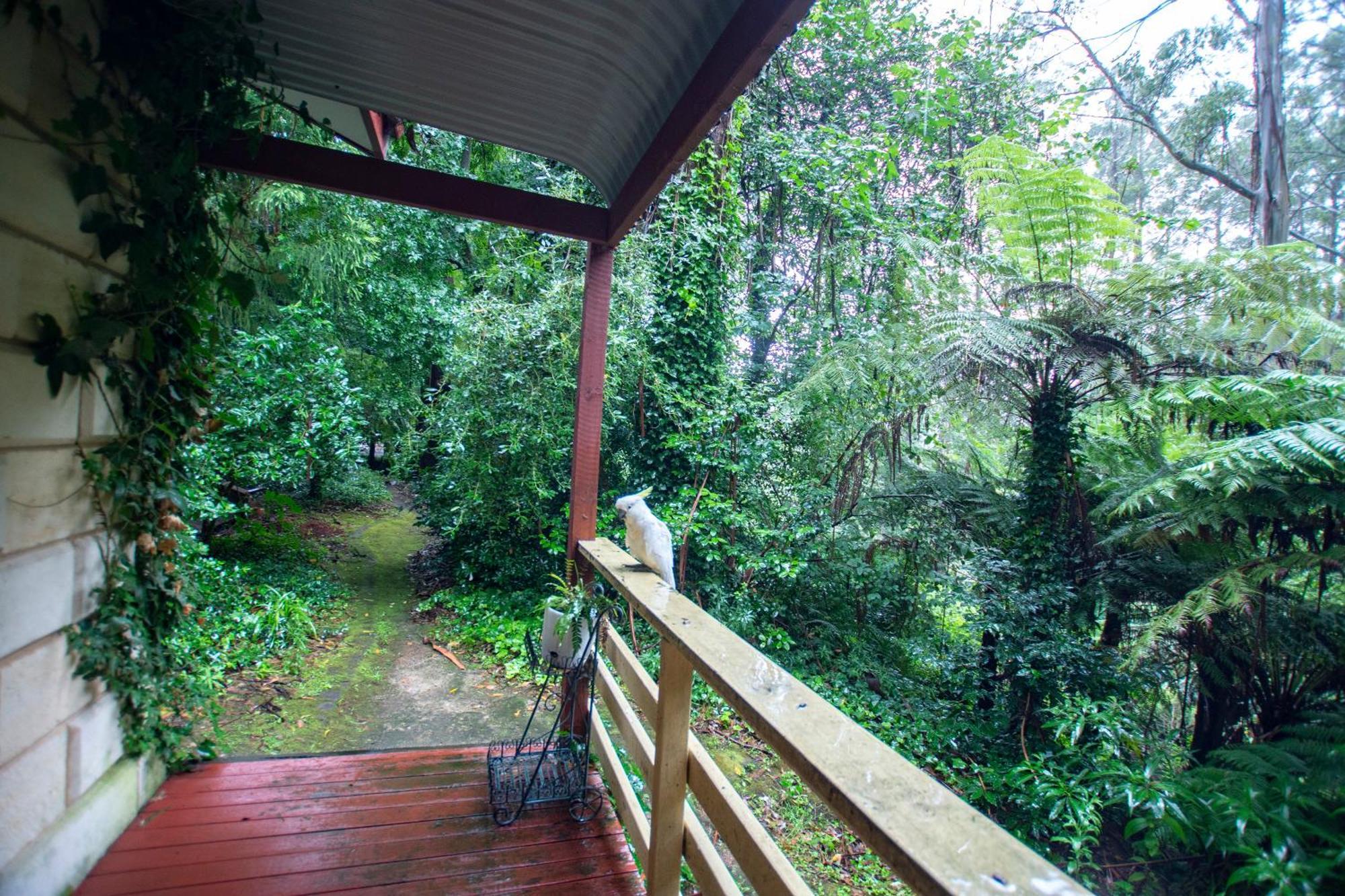 The Fernglen Forest Retreat Mount Dandenong Buitenkant foto