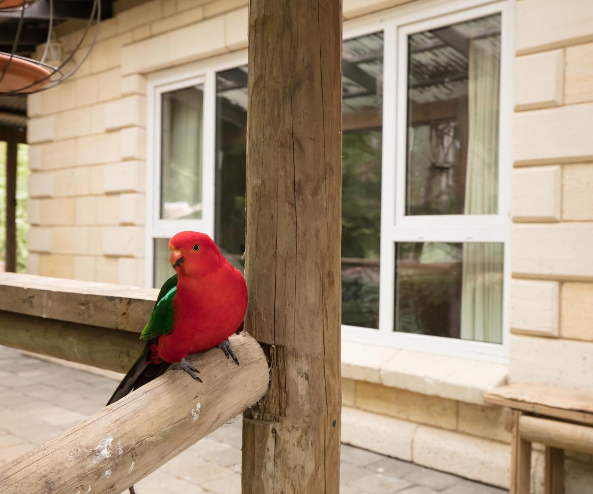 The Fernglen Forest Retreat Mount Dandenong Buitenkant foto
