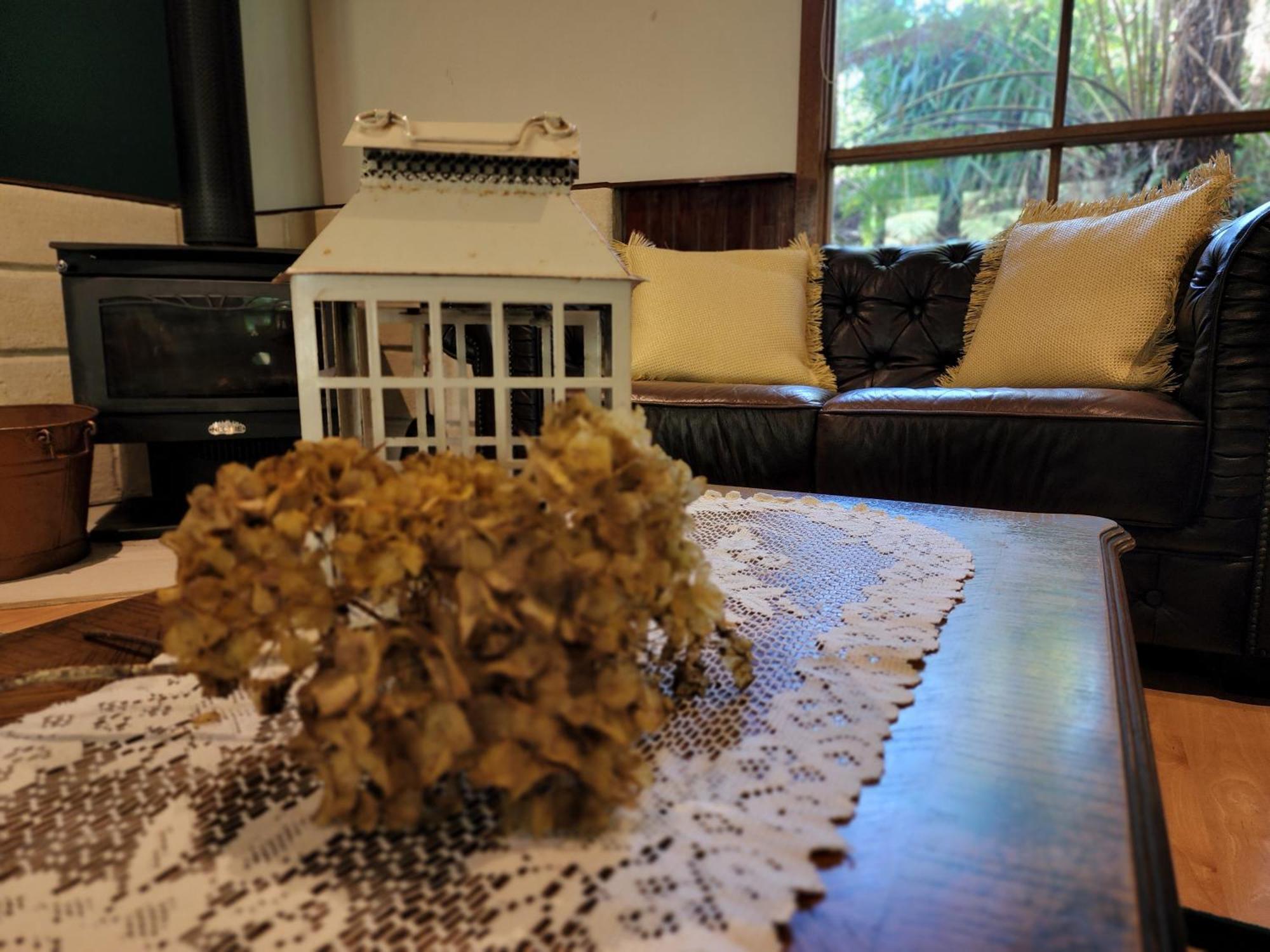 The Fernglen Forest Retreat Mount Dandenong Buitenkant foto