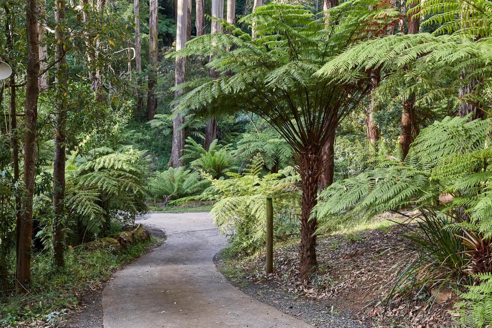 The Fernglen Forest Retreat Mount Dandenong Buitenkant foto