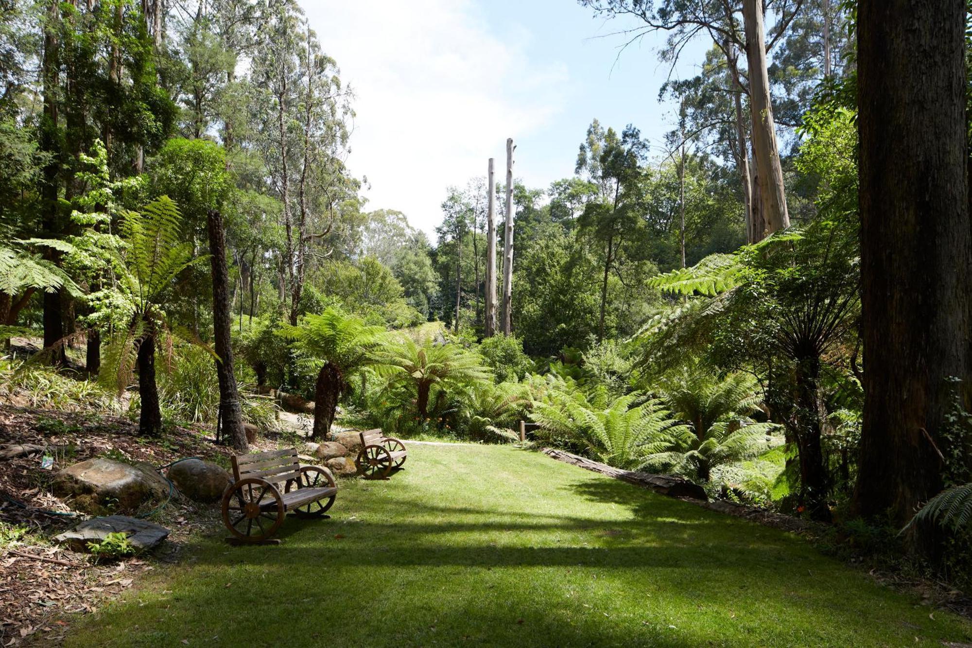 The Fernglen Forest Retreat Mount Dandenong Buitenkant foto