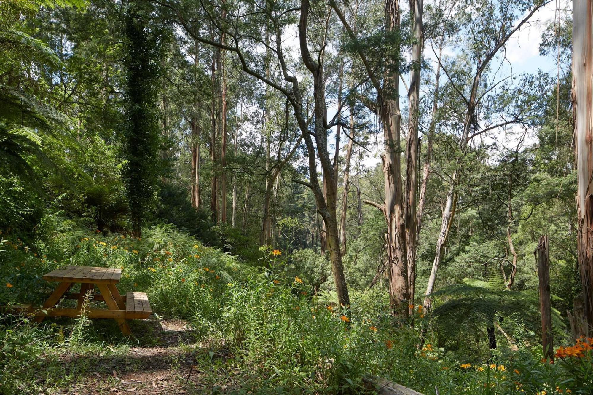 The Fernglen Forest Retreat Mount Dandenong Buitenkant foto